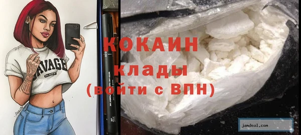 тгк Алзамай