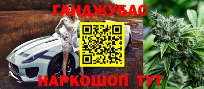 сатива Вышний Волочёк