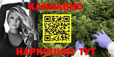 сатива Вышний Волочёк