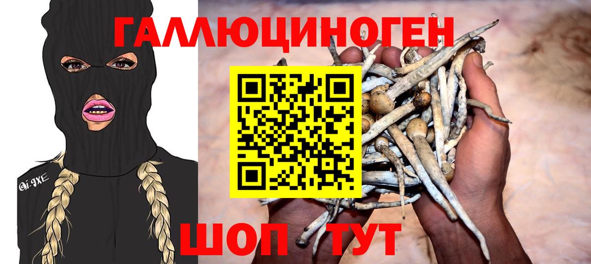 Кинешма  Галлюциногенные грибы ЛСД  Псилоцибиновые грибы ЛСД  Вход с VPN 